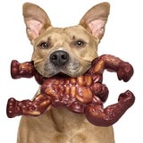 Indestructible Nylon Dog Chew Toy for Aggressive Chewers