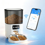 4.5L Automatic Double Cups Cat Feeders for Two Cats White