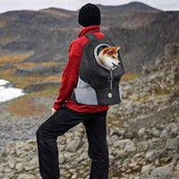 Mesh Pet Carrier Small Dog Cat Backpack for Travel Hiking Camping Black