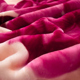 Soft Queen Size Blanket Double-Sided Winter Warm Quilt Throw Blanket Style 5