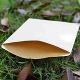 100-Pack Kraft Paper Seed Envelopes Garden Home Storage Bags Mini Envelopes 6x11cm for Seeds Jewelry