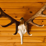 6Pcs Wall Mount Bracket Hangers Skull Hanger for Deer Elk Mule Antelope Coyote Head Decor