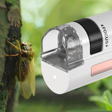 50X-300X Handheld Microscope with LED Lights Portable Pocket Zoom Pink