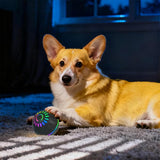 Interactive Smart Dog Ball Toy with LED Lights – Moving & Bouncing Ball for Dogs and Puppies Black