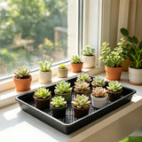 10 PCS Square Fine Hole Seedling Trays for Propagation and Hydroponics