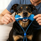 Rubber Bone Dog Chew Toy Durable with 2 Toothbrushes for Training