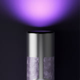 2-in-1 Rechargeable Nail File Drill 18 Bits 3 Speeds with Lamp Purple