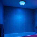 2PCS RGB Shower Light Rechargeable Waterproof 12 Colors with Remote Timer