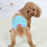 Cute Female Dog Harness Sanitary Pants – Reusable Pet Menstrual Diaper Sky Blue