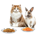 4Pcs Stainless Steel Pet Bowls Durable Shallow Pet Feeding Dishes Easy to Clean Silver