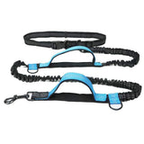 2 in 1 Double Leash for Dogs No Tangle Bungee Dog Leash Reflective Comfortable Padded Handles Blue