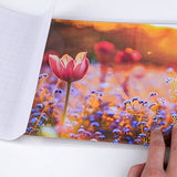 50 PCS Self Adhesive Cold Laminating Sheets for Photo Document