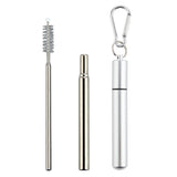 2 PCS Collapsible Stainless Steel Travel Straws with Keychain Cases Silver