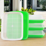 5Pcs Set Seed Sprouting Trays with Drain Holes Microgreens Growing Container Seed Germination Propagation Trays