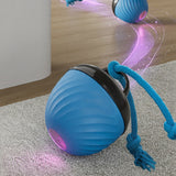Squeaky Rolling Ball Dog Toy – Interactive Motion-Activated Chew Toy for Dogs Blue
