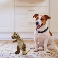 Fluffy Dinosaur Squeaky Toy for Dogs Pet Dog Sound Chew Toy Brown