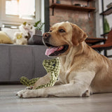 Fluffy Dinosaur Squeaky Toy for Dogs Pet Dog Sound Chew Toy Green