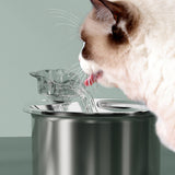 USB Powered 2L Automatic Cat Water Fountain Stainless Steel Pet Water Feeder