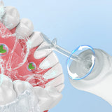 Cordless Electric Water Flosser Oral Irrigator Flosser Teeth Cleaner with 5 Nozzles Black