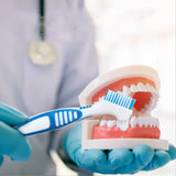 4-Pack Double-Head Denture Cleaning Brushes Toothbrushes for Denture Care