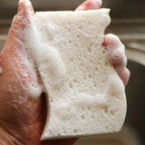 Compostable Coconut Cellulose Kitchen Dish Sponge Scrubber