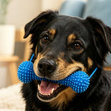 Rubber Bone Dog Chew Toy Durable with 2 Toothbrushes for Training