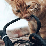 Cord Protectors from Pets No Chew for Pets Bite-Resistant Cable and Wire Protector for Cats Dogs Rabbits
