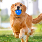 6Pcs Squeaky Dog Toy Balls Floating Pool Fetch Toys for Puppies