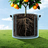 5 Pcs Gallon Grow Bags Thickened Nonwoven Fabric Pots for Fruit Flowers and Vegetables