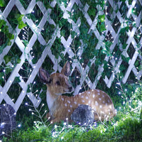 Solar String Lights – Outdoor Waterproof Fairy Lights for Patio and Balcony White