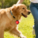 2PCS Pet Collar Clip Light LED for Dogs Cats Night Outdoor Walks