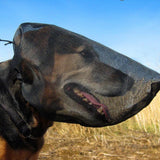 Mesh Dog Face Hood Breathable for Hiking Camping Walking