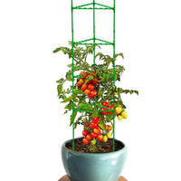 4-Tier Plant Stem Support Kits Plant Tomato Cage Stake Arms for Garden