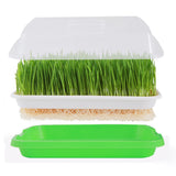 5Pcs Set Seed Sprouting Trays with Drain Holes Microgreens Growing Container Seed Germination Propagation Trays