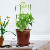 Adjustable Steel Tomato Plant Cage Trellis Support