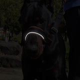 Adjustable Dog Head Collar with Padded Nose Loop for Gentle Control and Training