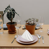 10 PCS Polyester Satin Dinner Napkins for Weddings Hotels Dining White