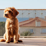 3-Meter Black Plastic Barrier Mesh Fence Keep Away Poultry Dogs Rabbit Snake