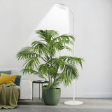 4-Light Mode Grow Light for Indoor Plants Full Spectrum Floor Plant Light with 72 LEDs White