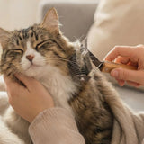 Cat Brush for Long Haired Cats Double Sided Dematting Undercoat Rake for Persian Ragdoll Maine Coon