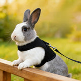 Rabbit Vest Harness Leash Lead Small Animal Pet Mesh Hamster Bunny Traction Rope Black