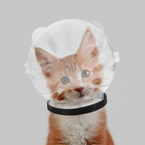 Transparent Cat Hood Astronaut Helmet Muzzle Mask Preventing Biting and Licking