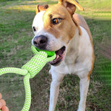 Interactive Dog Rope Toy with Bungee and Chew Ball for Indoor & Outdoor Play
