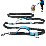 2 in 1 Double Leash for Dogs No Tangle Bungee Dog Leash Reflective Comfortable Padded Handles Blue