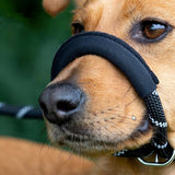 Black Dog Leash with Padded Nose Loop Anti-Pull Training Lead for Medium & Large Dogs