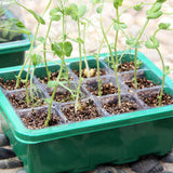 5Pcs 12 Cell Seed Starter Trays for Growing Seeds