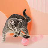 USB Rechargeable Interactive Cat Toy Ball – Smart Rolling Design for Indoor Cats Pink