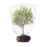 3PCS Drawstring Fruit Tree Netting Cover Fine Mesh for Garden Plants
