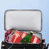 25L Insulated Cooler Backpack Freshness Preservation Backpack - Black