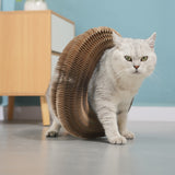 Organ Cat Toy Transformable Interactive Cardboard Toy with Track and Bell Ball